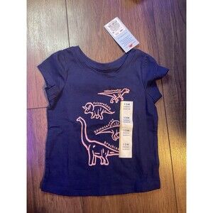 Girls Pink & Purple Dinosaur Types Shirt Cat & Jack Nwt 12 Months